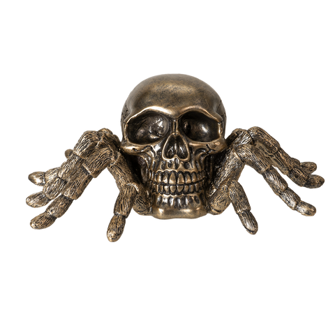 ^ SPIDER SKULL C/24