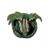 GREEN DRAGON HATCHLING C/48
