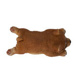 SHIBA INU MAGNET C/48
