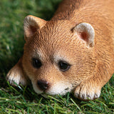 SHIBA INU MAGNET C/48