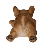 FRENCHIE MAGNET C/48