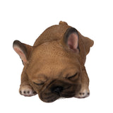 FRENCHIE SLEEPING C/24