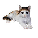 LYING CALICO CAT C/4