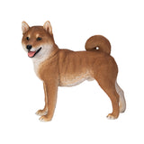 SHIBA INU C/1