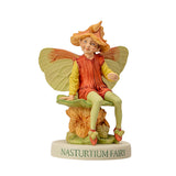 NASTURTIUM FAIRY C/72