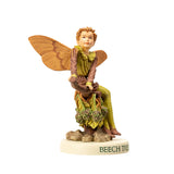 BEECH TREE FAIRY C/72