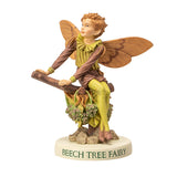 BEECH TREE FAIRY C/72