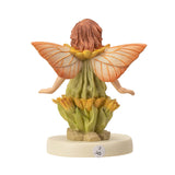 MARIGOLD FAIRY C/72