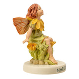 MARIGOLD FAIRY C/72