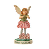 SWEET PEA FAIRY C/72