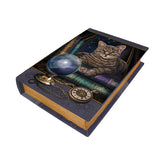 Fortune Teller Book Box