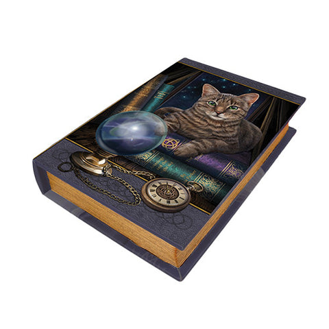 Fortune Teller Book Box