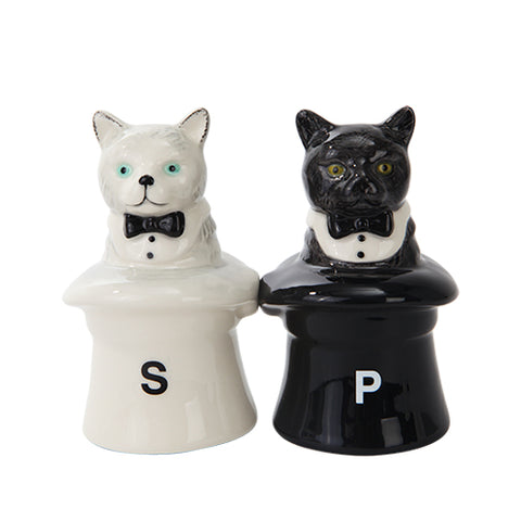 ^CAT IN HATS C/48