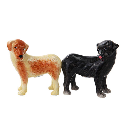 ^LABRADORS C/48