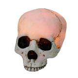 Glow Skull