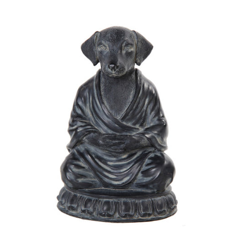 ^MEDITATION DOG C/16