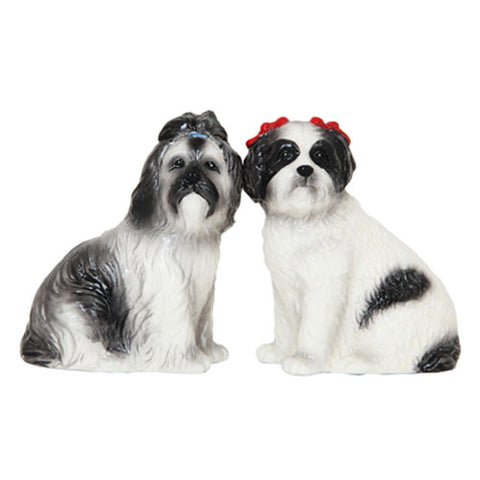 SHIH TZU SP C/48