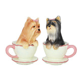 ^ YORKIE TEACUP S & P C/48 MINIMUM OF 4