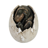 ^ DINOSAUR EGG C/24