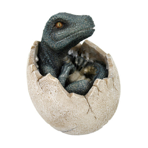 ^DINOSAUR EGG C/24