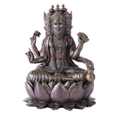 ^BRAHMA C/6