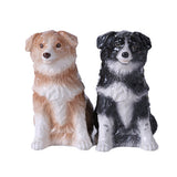 ^ BORDER COLLIE S & P SET C/48 MINIMUM OF 4