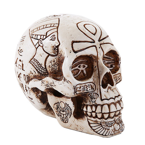 EGYPTIAN SKULL C/18