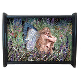 FIELD OF DREAMS TRAY C/20