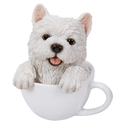 WESTIE TEACUP PUPS C/12