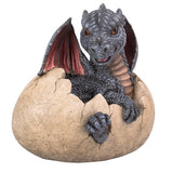 DISC-GARDEN DRAGON EGG C/1