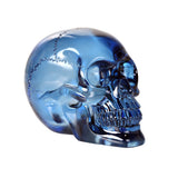 TRANSLUCENT BLUE SKULL, C/12