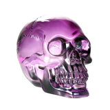 TRANSLUCENT PURPLE SKULL,C/12