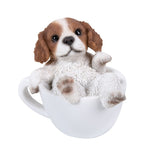 KC SPANIEL MINI PET PALS, C/36