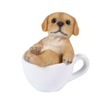 LABRADOR MINI TEACUP PUPS C/36