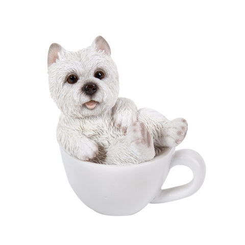WESTIE MINI TEACUP PUPS C/36