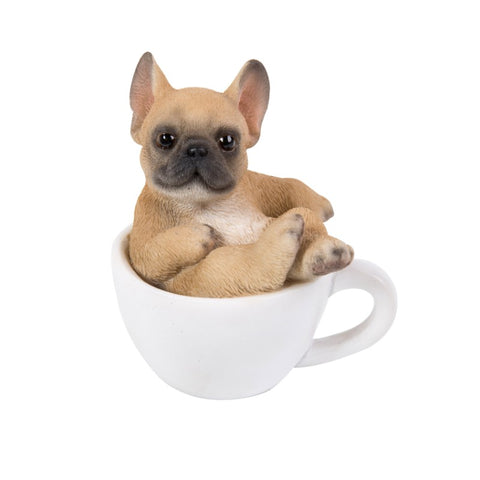 FRENCH BULLDOG MINI TEACUP PUPS C/36
