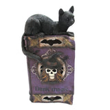 DISC-BOOK OF MAGIC LED C/6 MINIMUM OF 2