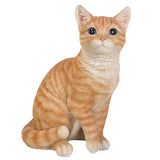 ORANGE TABBY CAT C/1