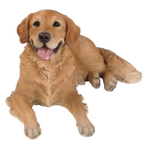 ^GOLDEN RETRIEVER C/1