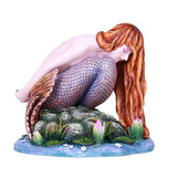 DISC-QUIETUDE MERMAID C/12 MINIMUM OF 2