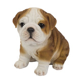 BULLDOG PUPPY C/6