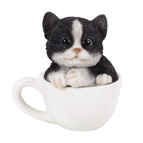 BLACK & WHITE MINI TEACUP KITTEN C/24