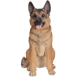 GERMAN SHEPHERD C/1