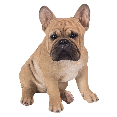 FRENCH BULLDOG C/1