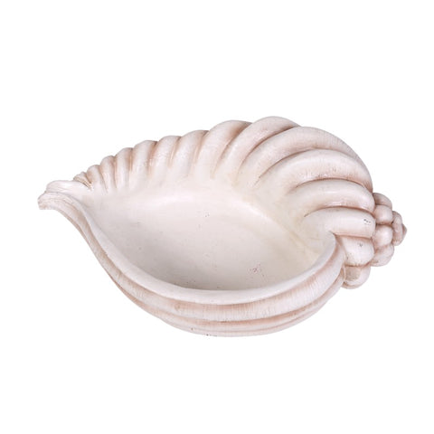 SEASHELL CONTAINER C/2