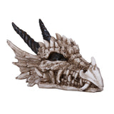 ^DRAGON SKULL C/12