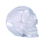 CLEAR TRANS SKULL 4PC SET C /18