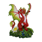 DRAGONFRUIT DRAGON C/24