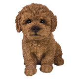 ^BICHON FRISE PUPPY C/6