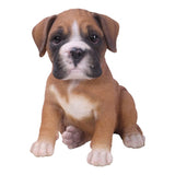 BOXER PUPPY C/6